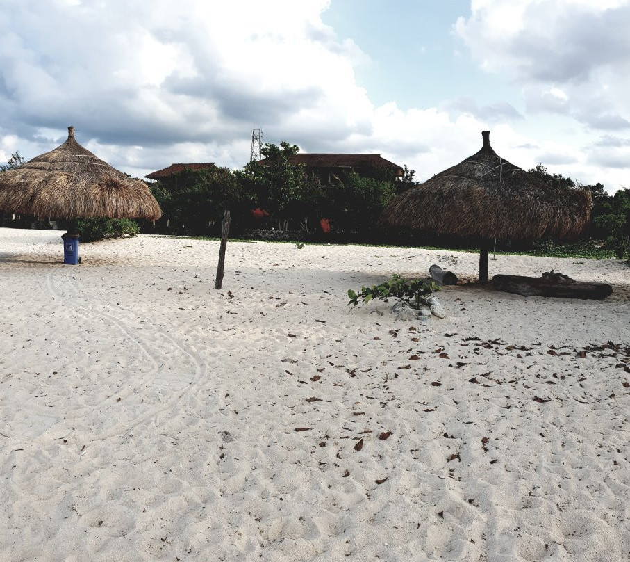 Mananga Aba Beach景点图片