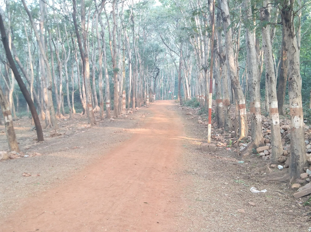 Ram Jharna-赖加尔必去景点