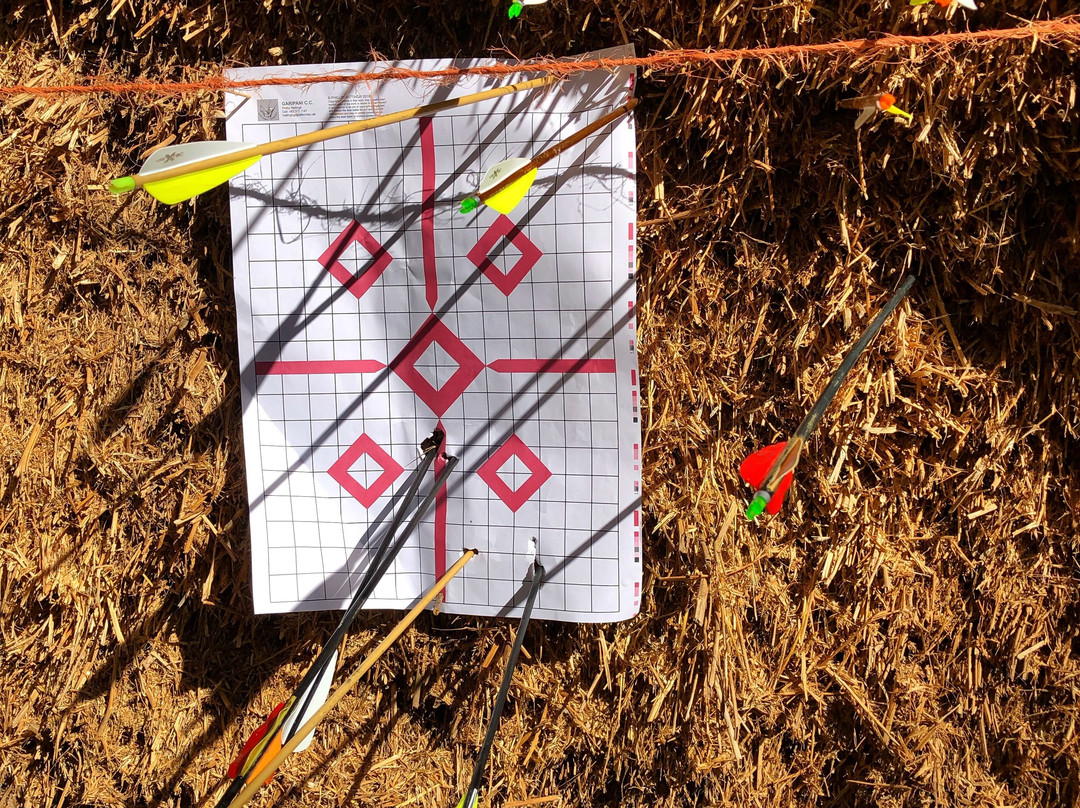 Mountain View Horse Trails-开普敦中心区必去景点