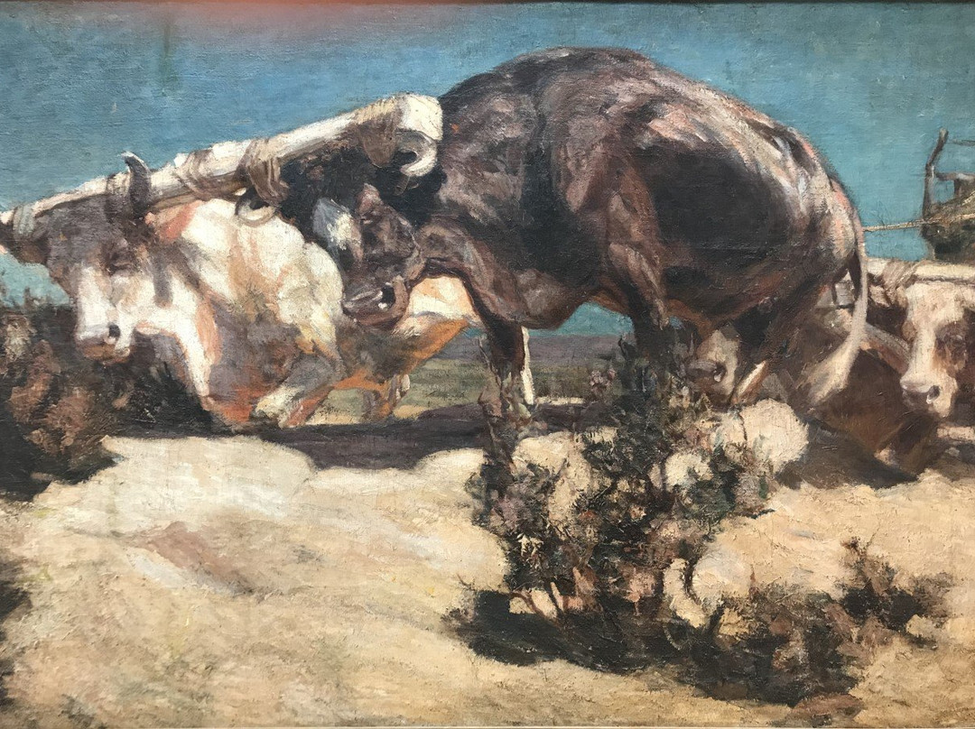 Museo Casa de Fader-路冉得库约必去景点