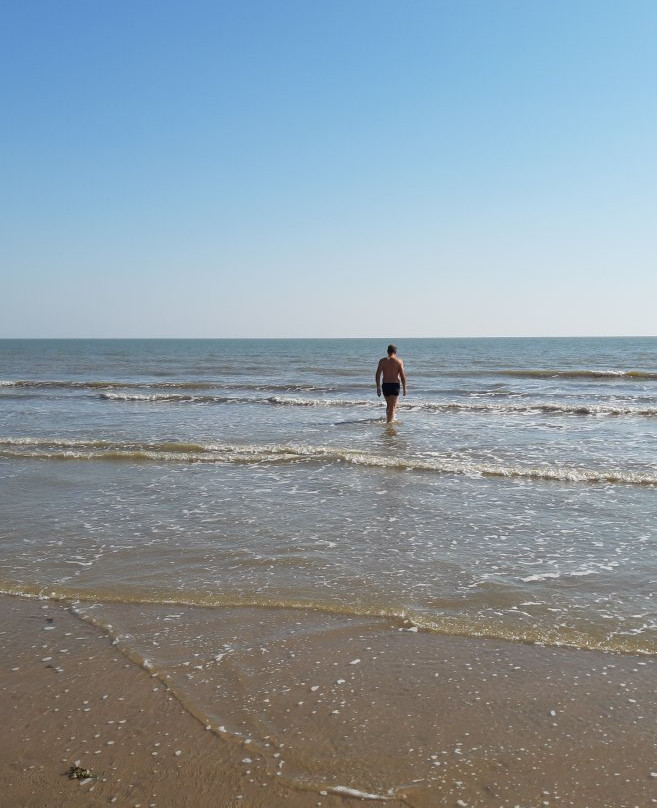 The Beach At Mandvi Palace景点图片