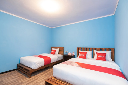 1852因坦布罗莫家庭旅馆主图