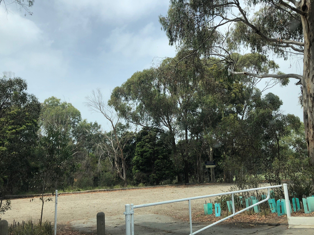 Mullum Mullum Reserve景点图片