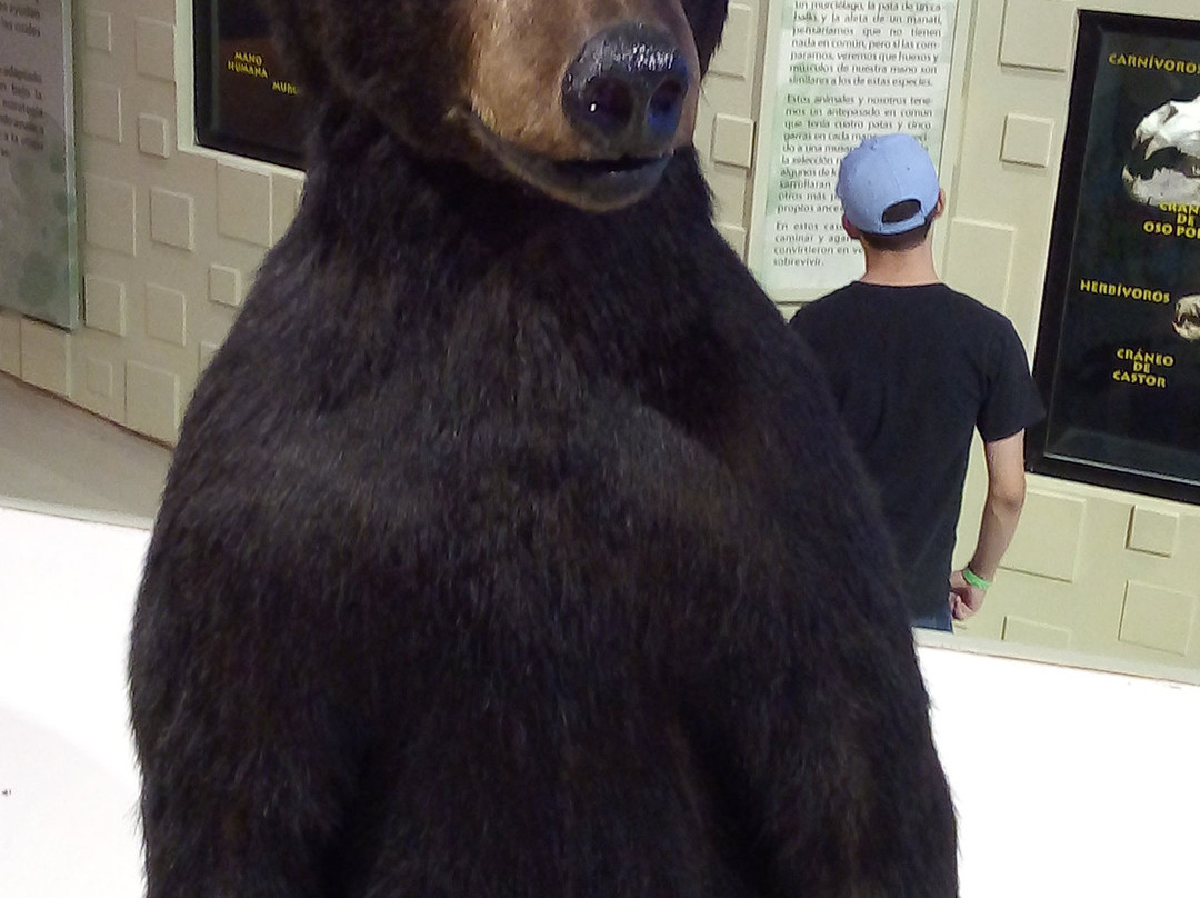Museo del Desierto-萨尔蒂必去景点