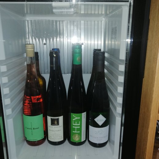 弗勒利希萨恩红酒酒店-portrait