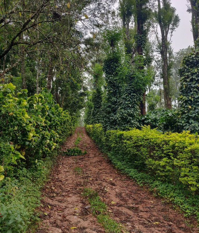 The Moorings - Bed & Breakfast主图