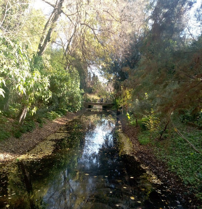 Fes guide! walking tours.-非斯必去景点