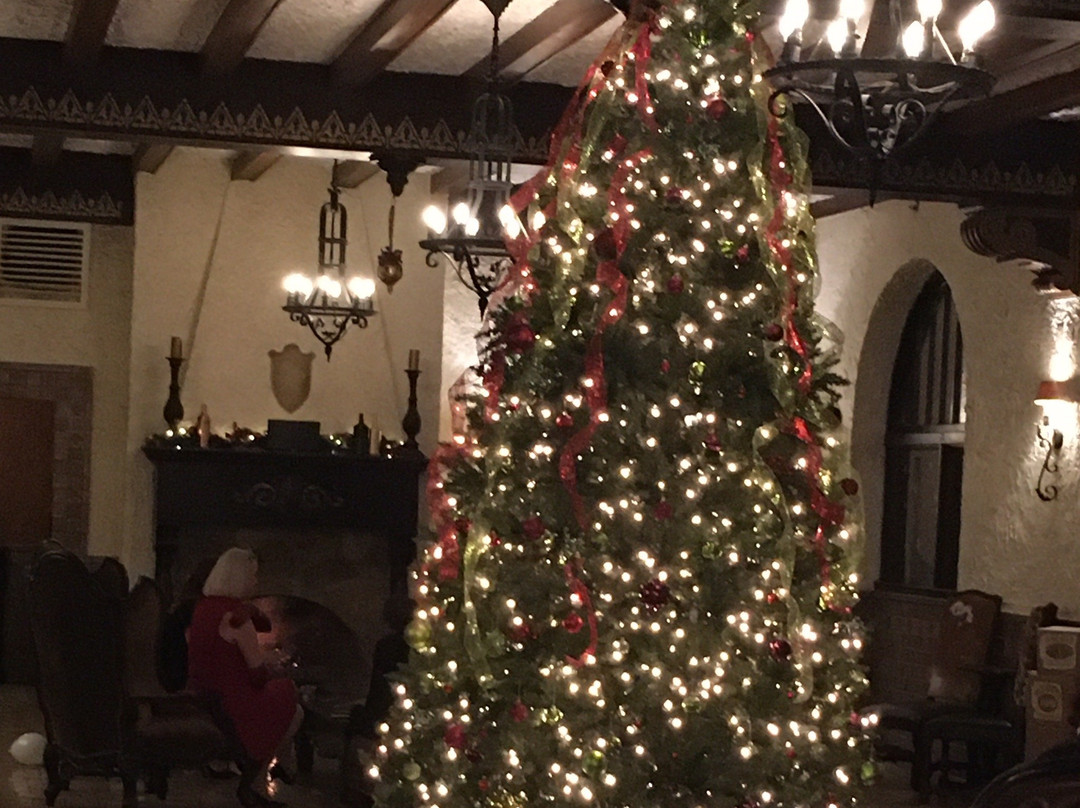 Holland旅游攻略图片