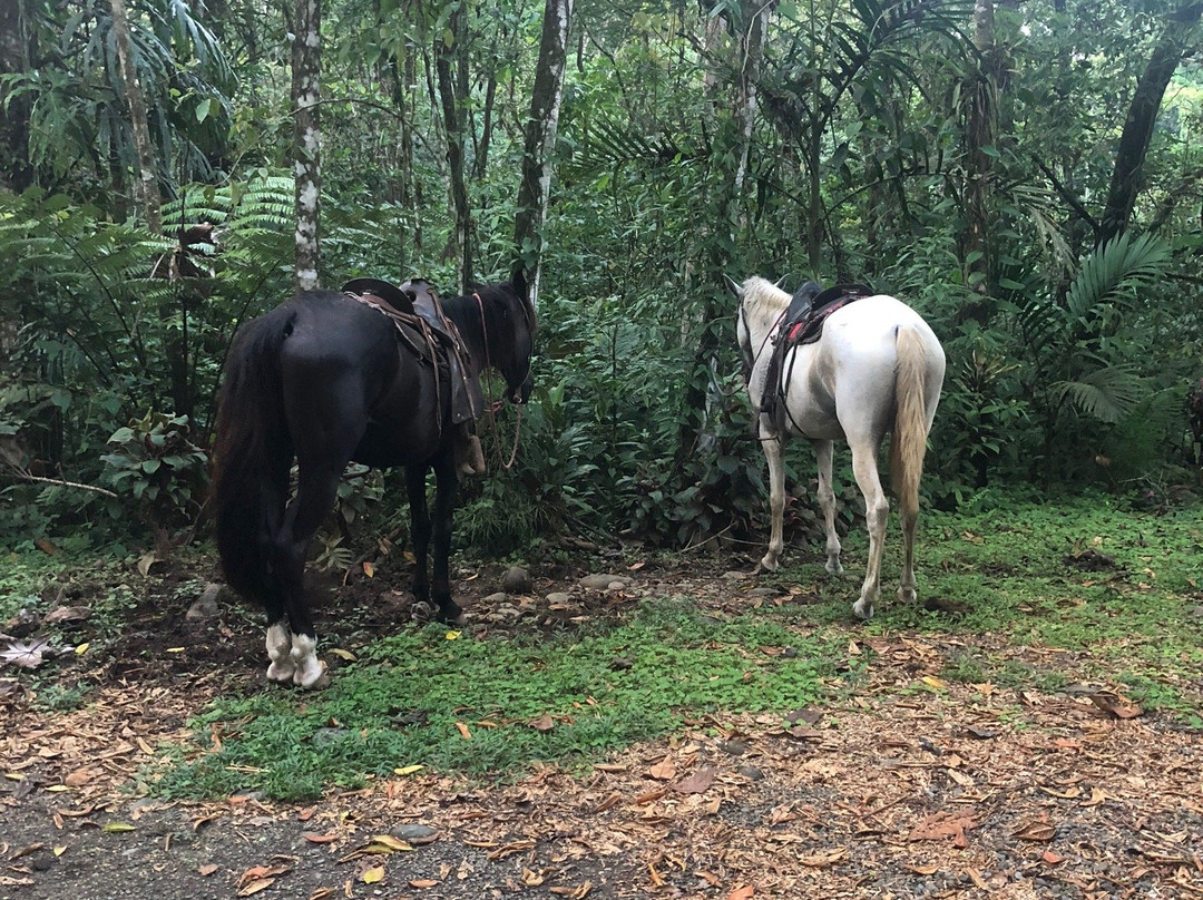 Hotel Hacienda Sueno Azul主图