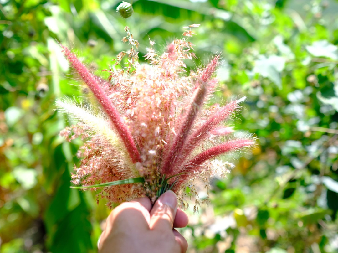 Golden Bay Hotel主图