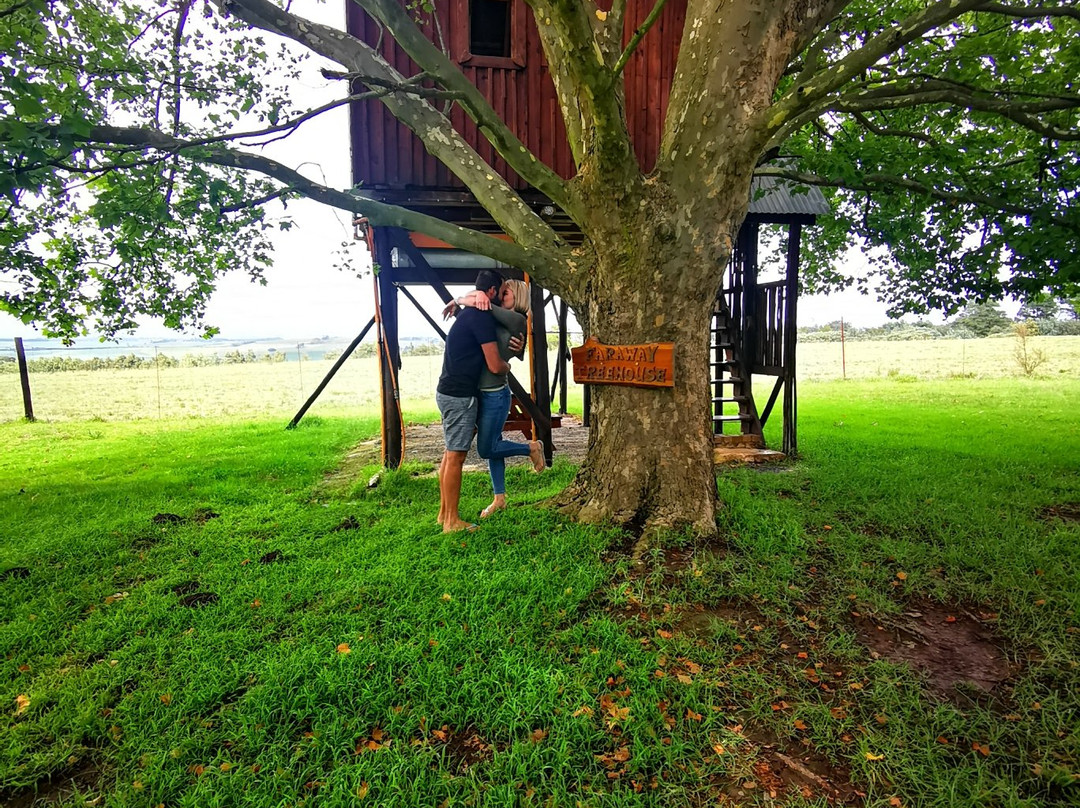 Sycamore Avenue Treehouses主图