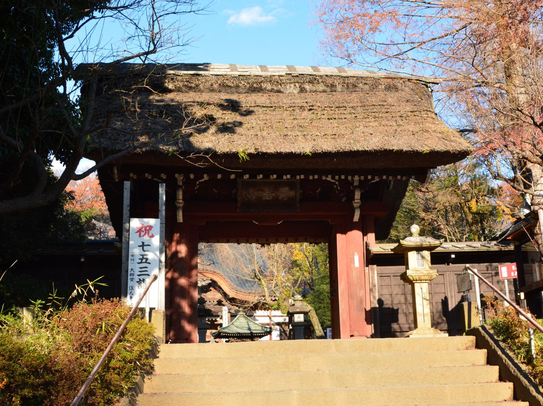 Jindai-ji Temple Sammon Gate-调布市必去景点