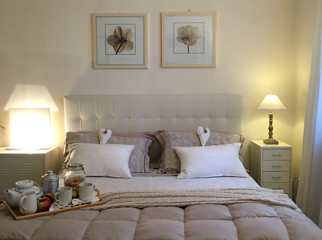 B&B Pietra E Glicine主图