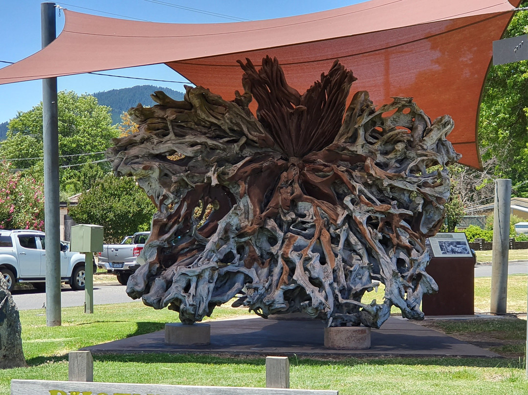 The Phoenix Tree-Myrtleford必去景点