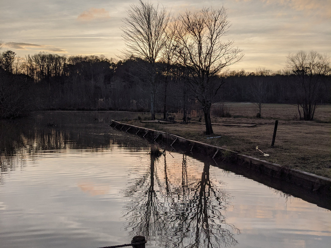 The Farmhouse Inn主图