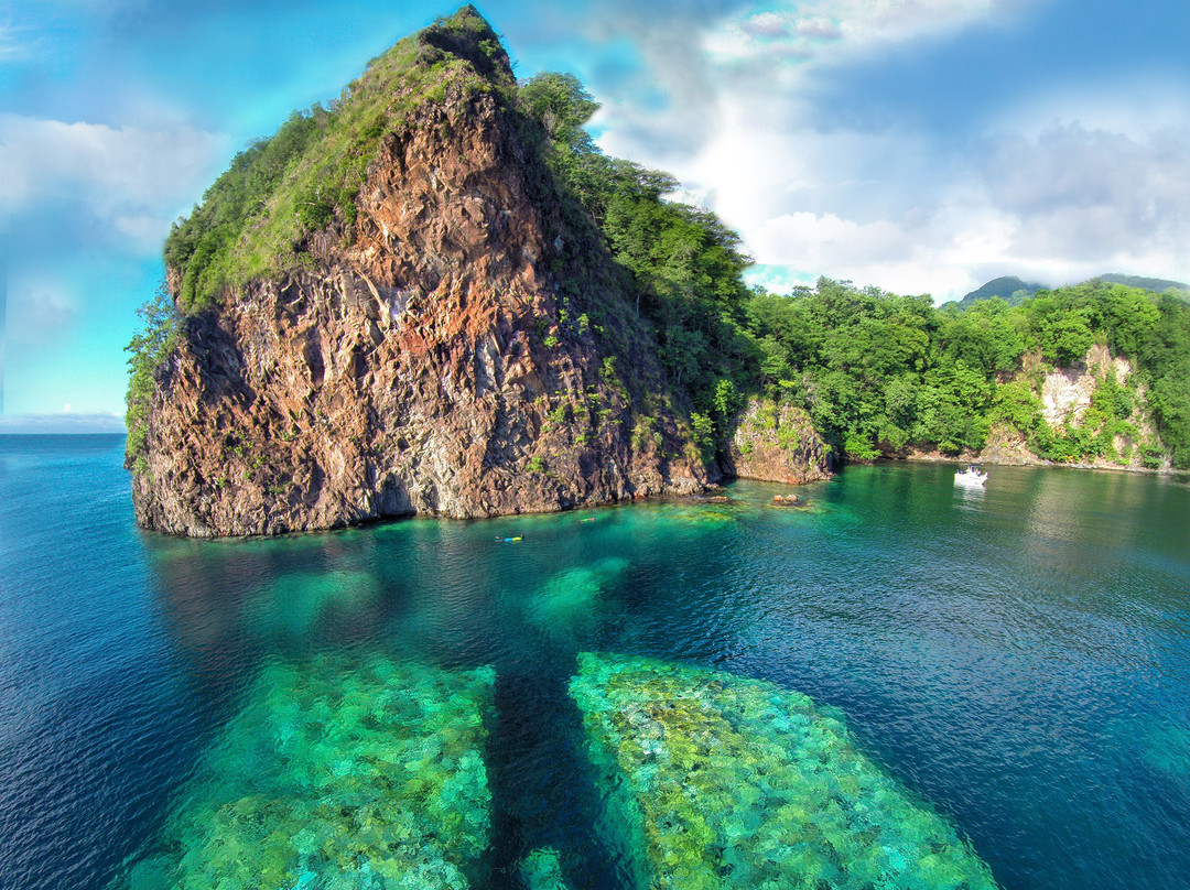 Nature Island Tours景点图片