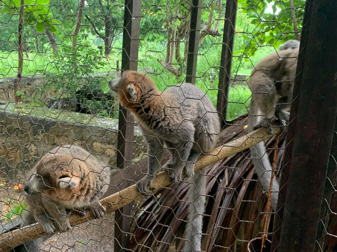 Eco Parc Reniala景点图片