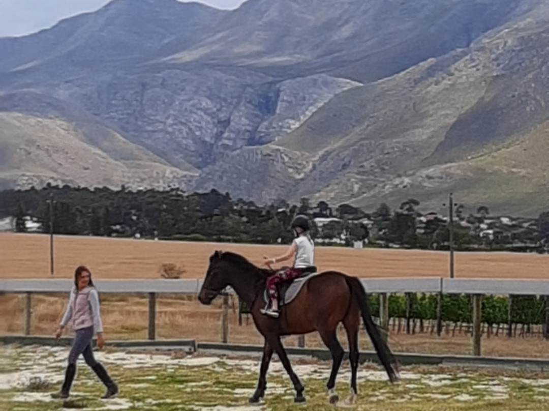 Home Grown SA Tours-小月必去景点