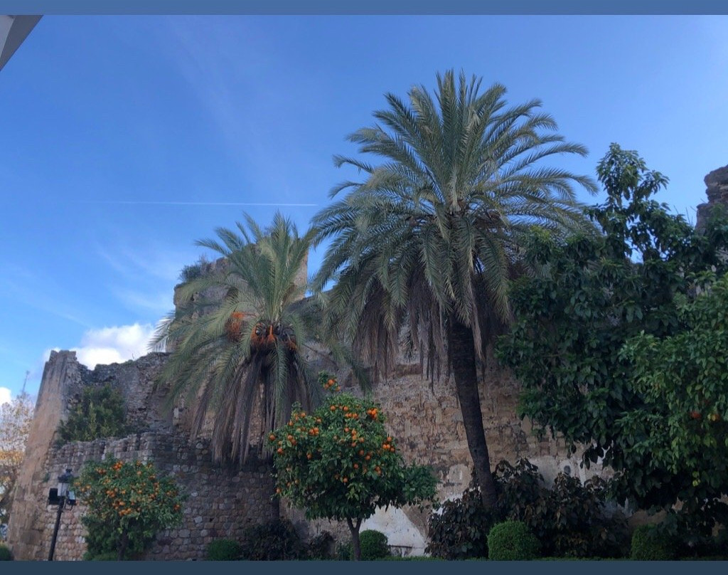 Murallas del Castillo (Las)景点图片