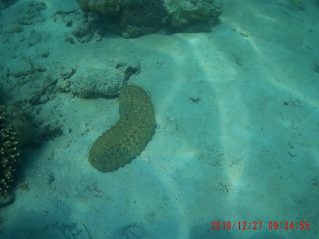 Andaman Bubbles-哈夫洛克岛必去景点