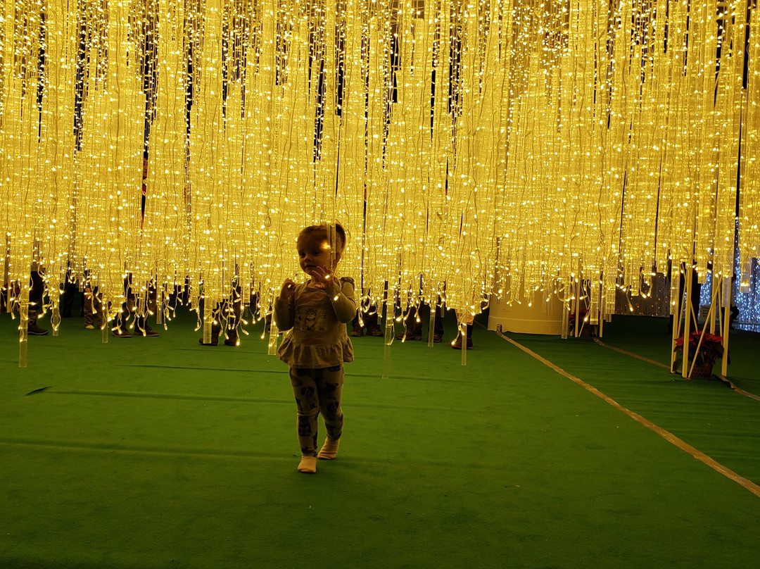 Lights of The North-温尼伯必去景点