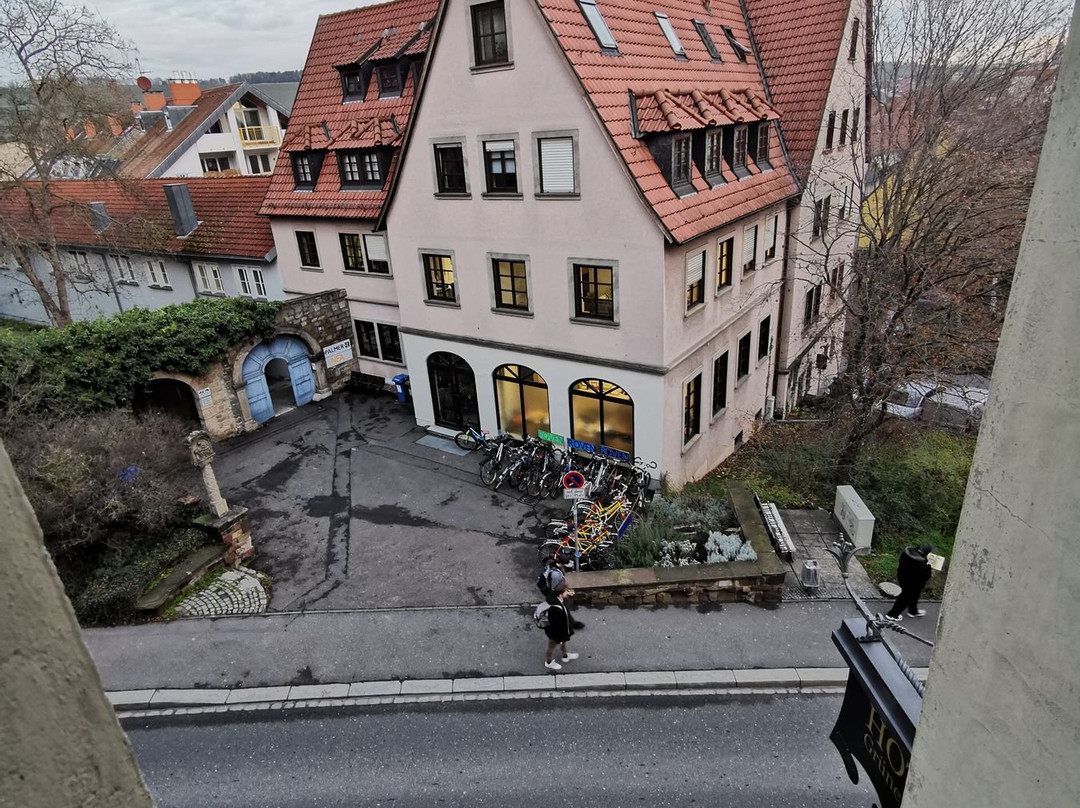 Hotel Gruener Baum主图