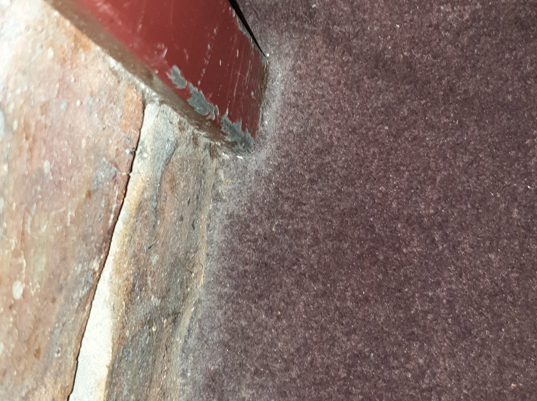 Arabella Motor Inn主图