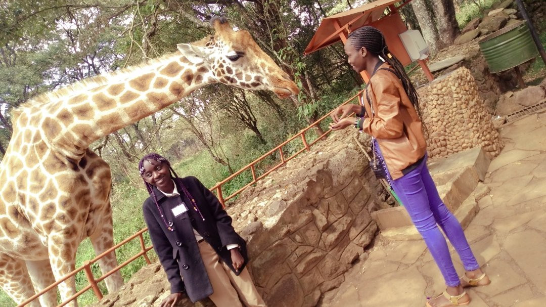 Deep End Tours And Safaris-Kibale National Park必去景点