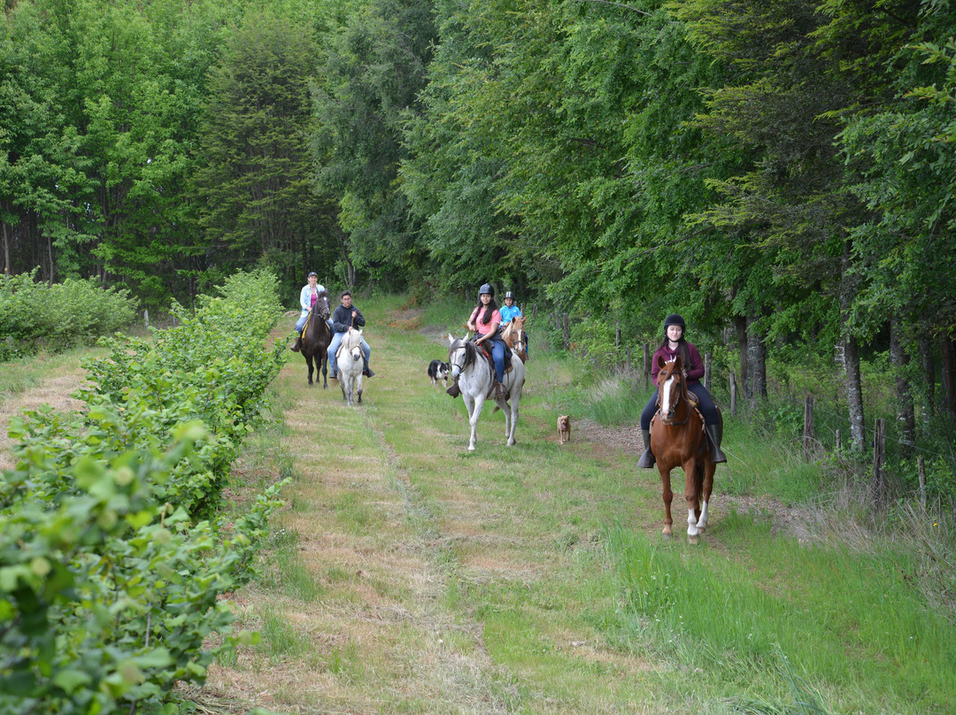 Equspatagonia-特木科必去景点