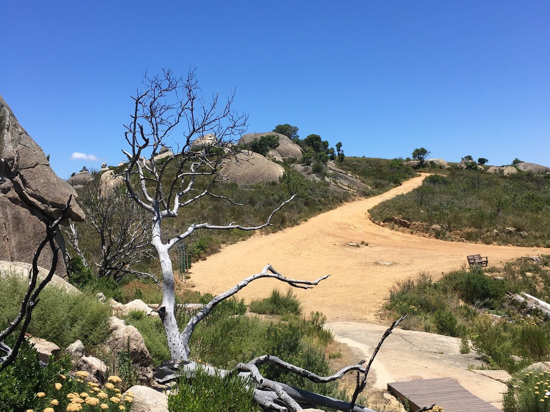 Paarl Mountain Nature Reserve-帕尔必去景点