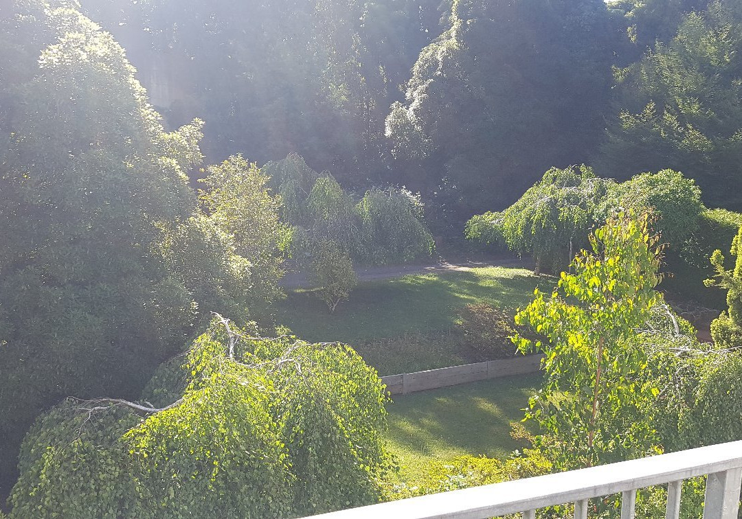 Marybrooke Hotel主图