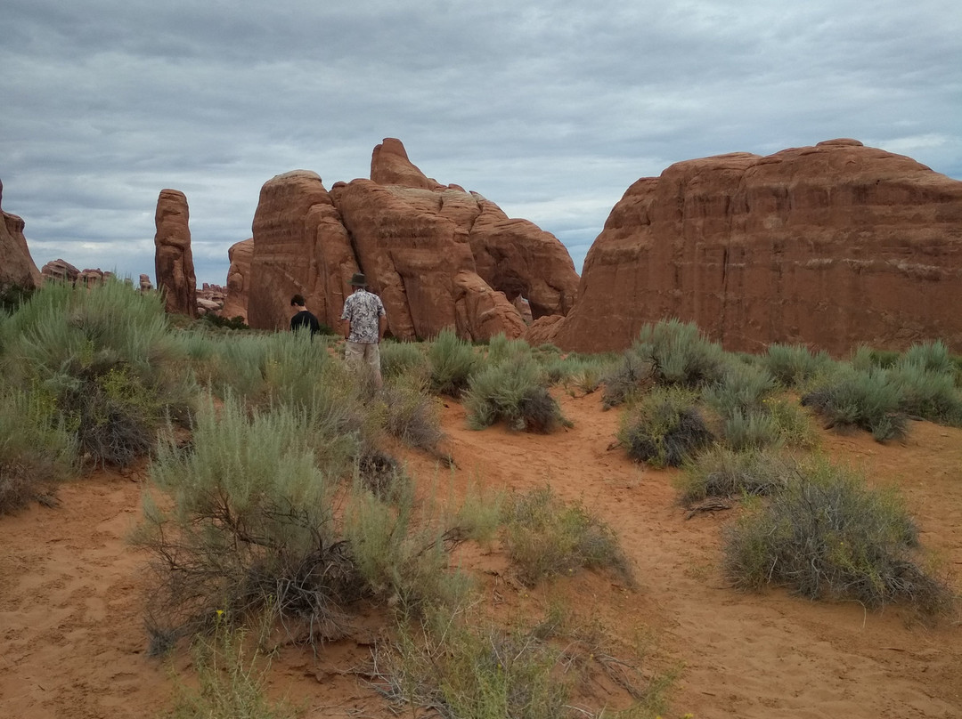 Pine Tree Arch Trail-拱门国家公园必去景点