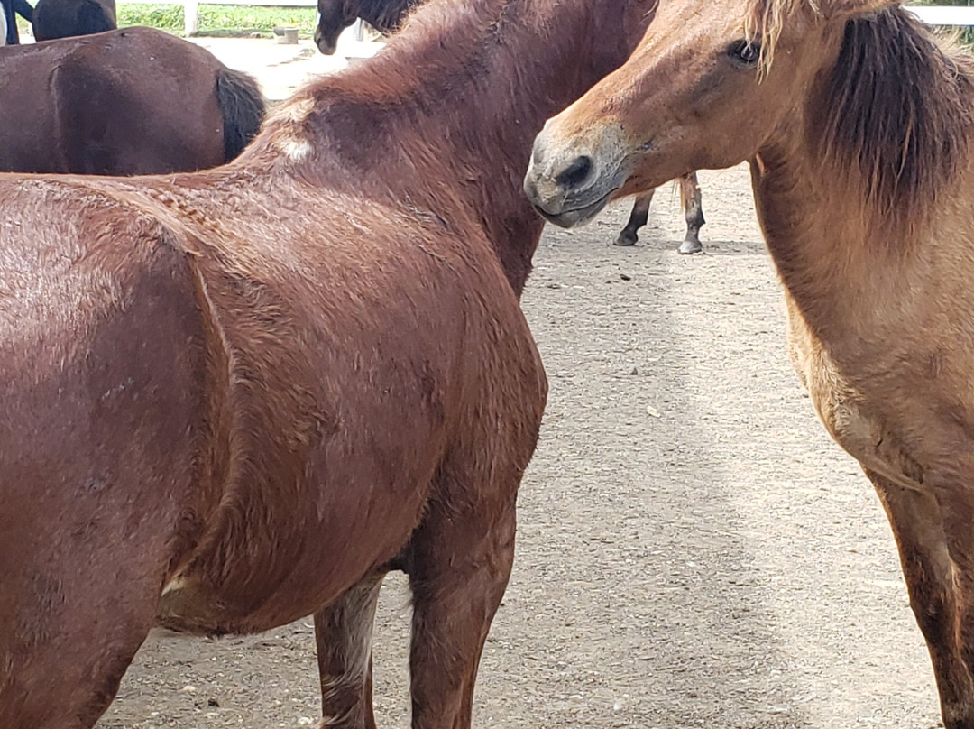Hacienda Campo Rico-卡罗来纳必去景点