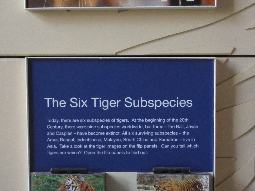 Alex Box Stadium/Skip Bertman Field-巴吞鲁日必去景点