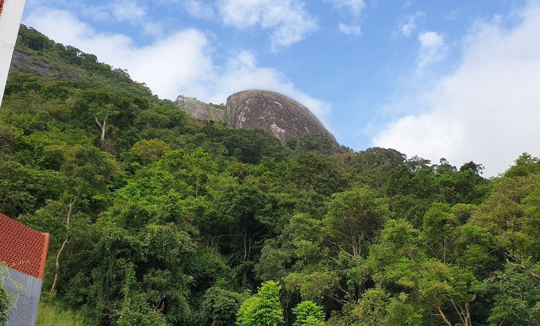 Arangala Forest Lodge