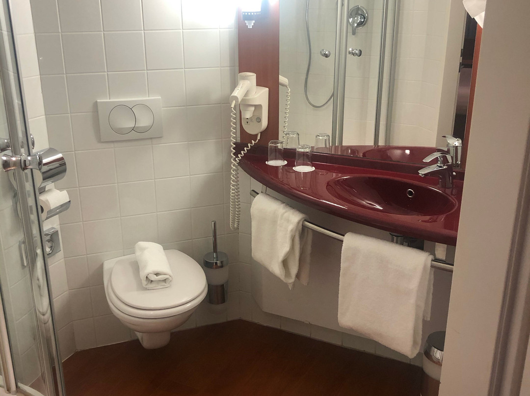 萨尔茨堡机场星辰酒店主图