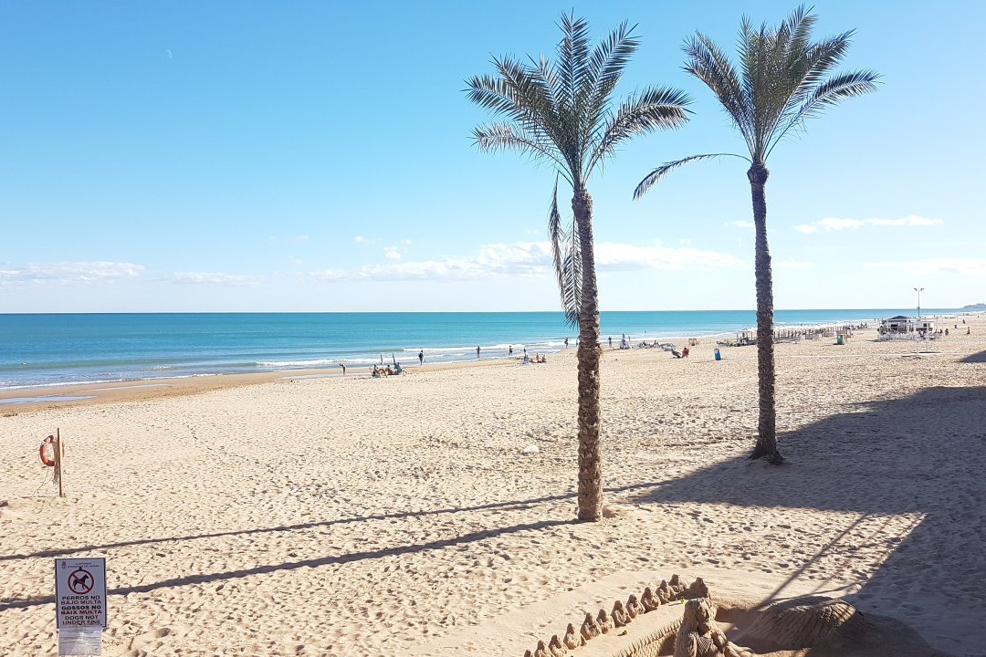Playa de Guardamar景点图片