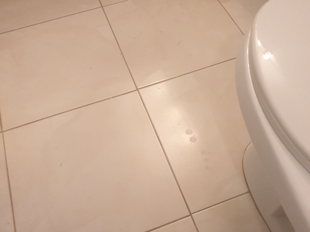 Hotel Rio Tequisquiapan主图