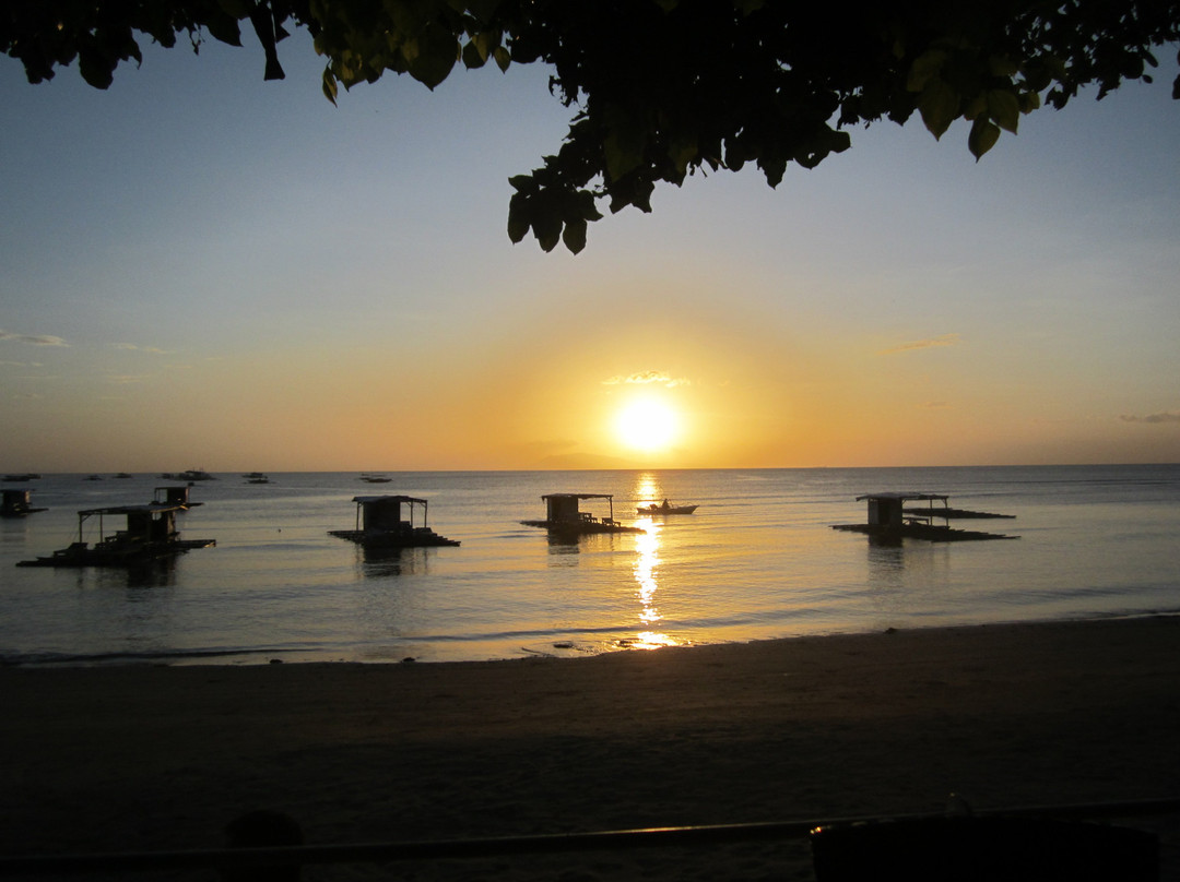 珊瑚海滩俱乐部酒店主图