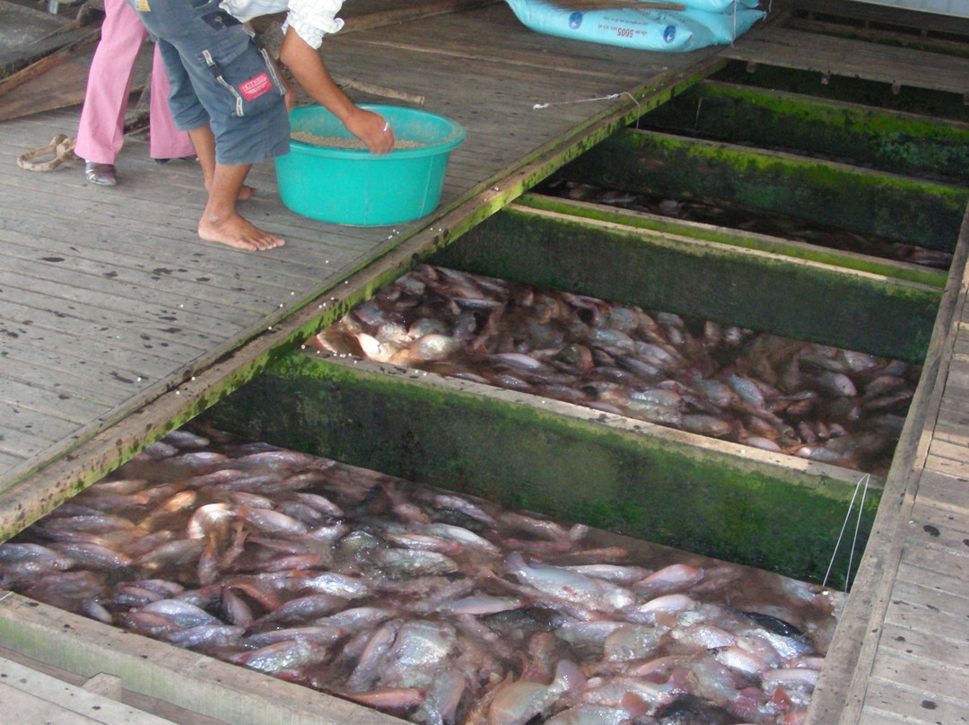 Cai Be Floating Market-凯比必去景点