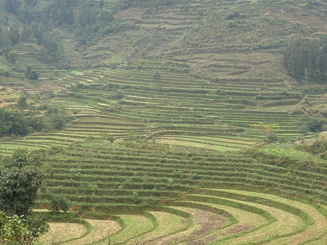 Bac Ha Trekking Tour景点图片