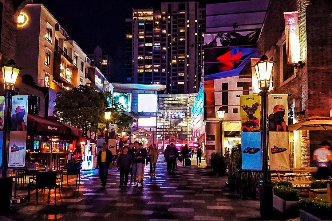 Shanghai Guide and Driver-上海市必去景点