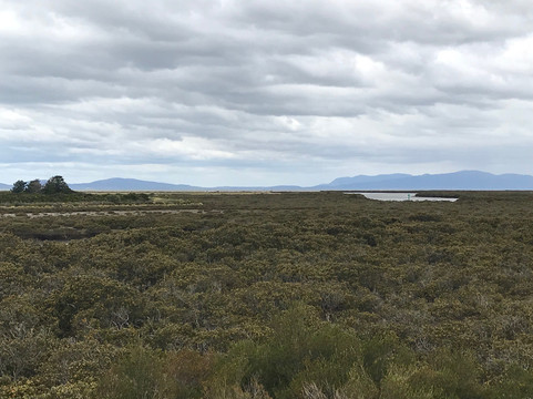 Port Franklin Public Purposes Reserve-Port Franklin必去景点