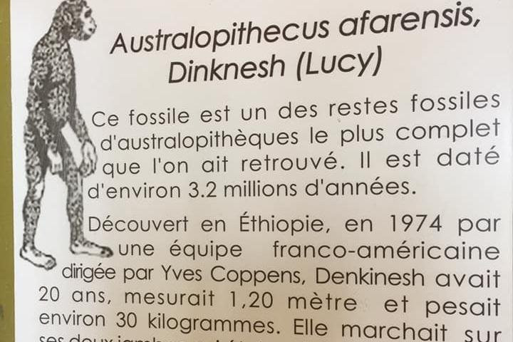 Sénégal tours景点图片