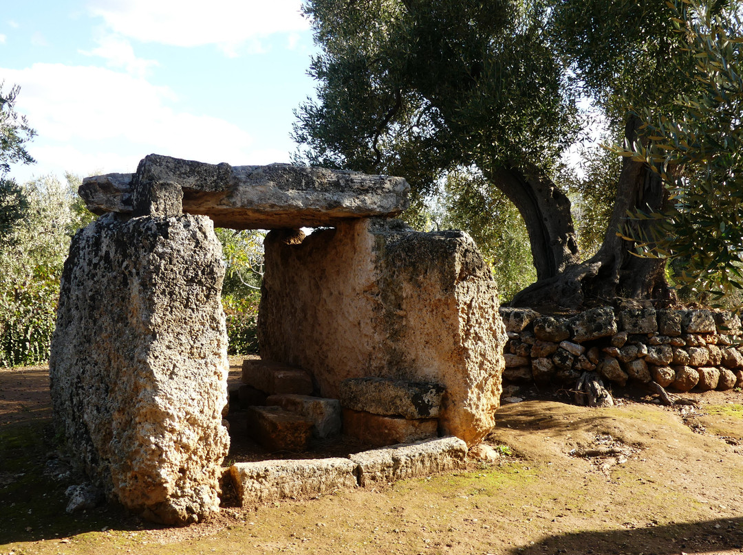 Dolmen di Montalbano景点图片