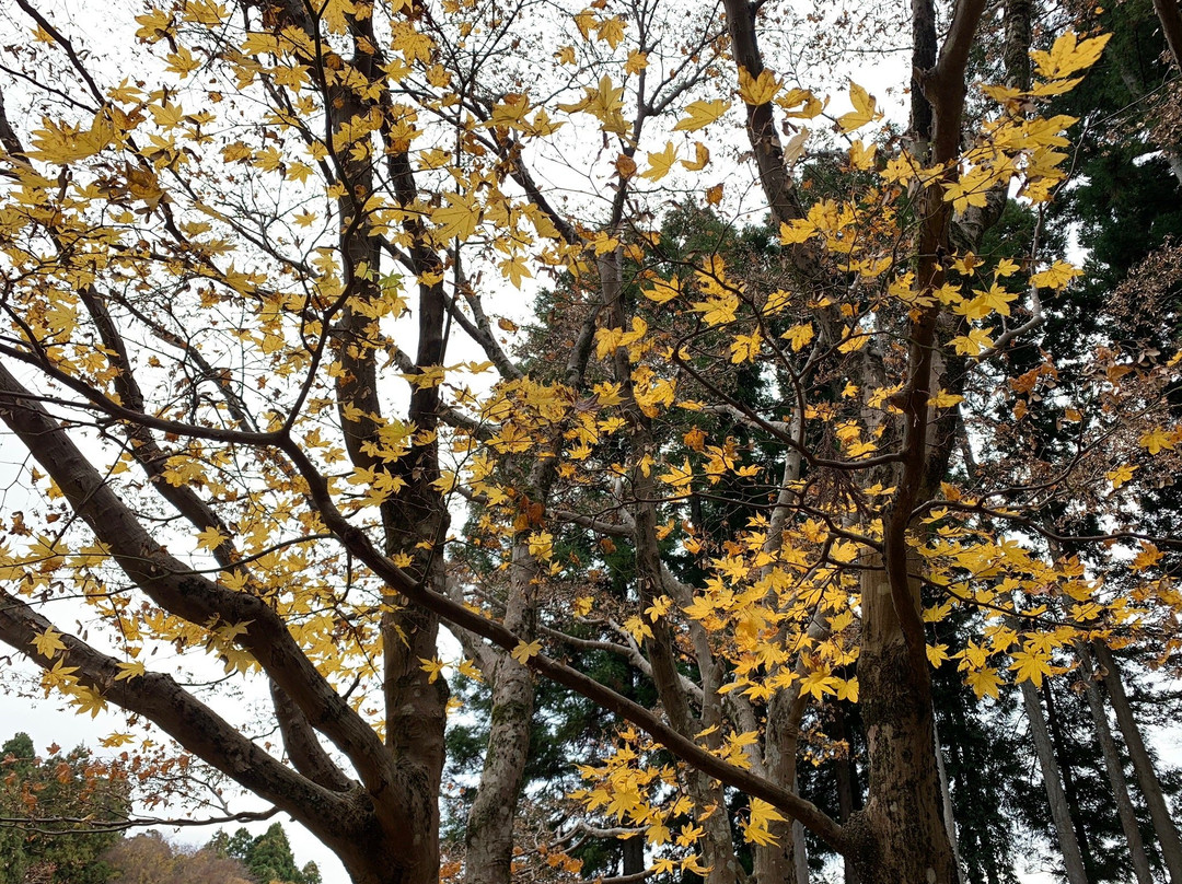 Choreiji Temple-七尾市必去景点
