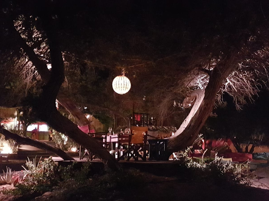 Mojito beach bar-Lachania必去景点