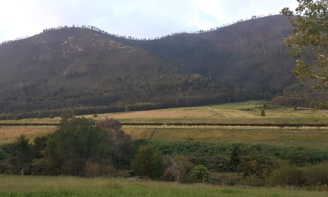 Kurland Park Accommodation主图