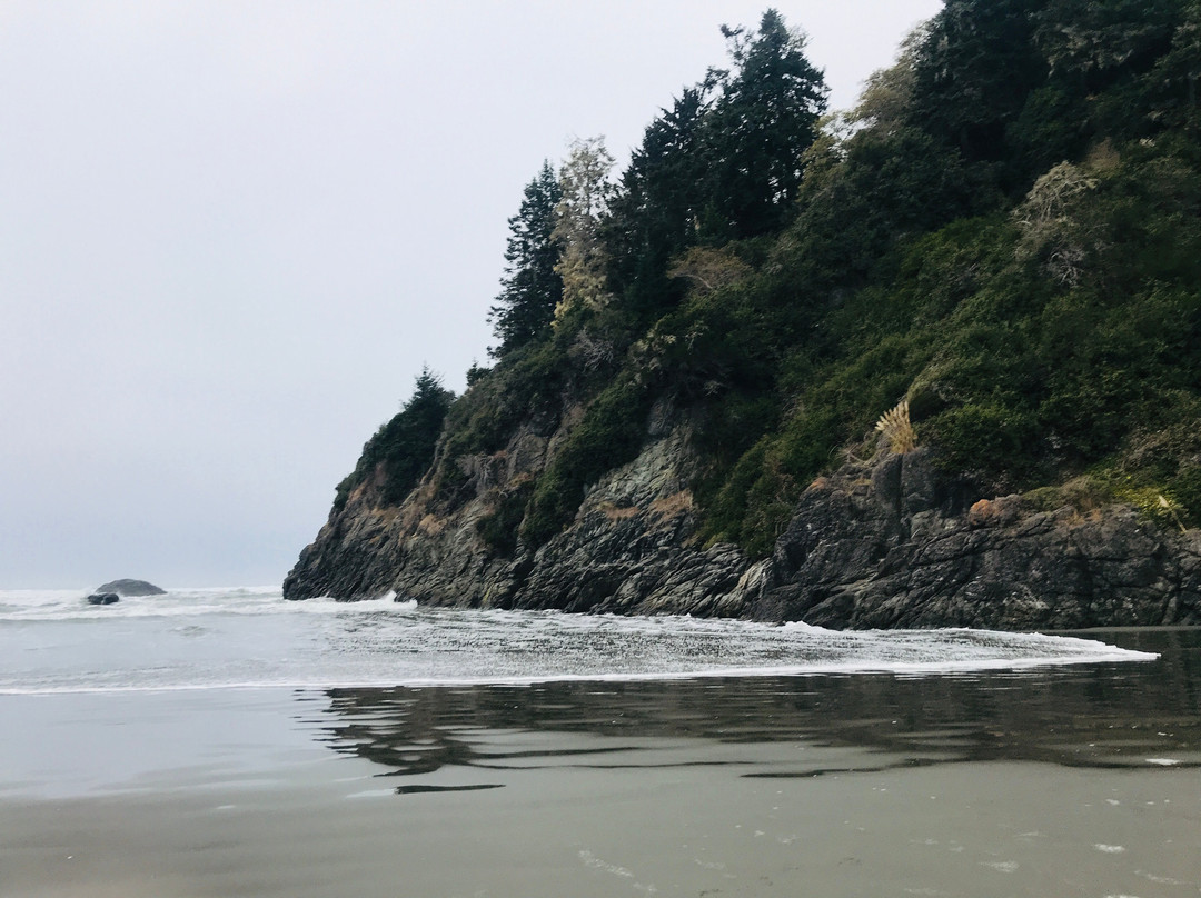 Moonstone Beach景点图片