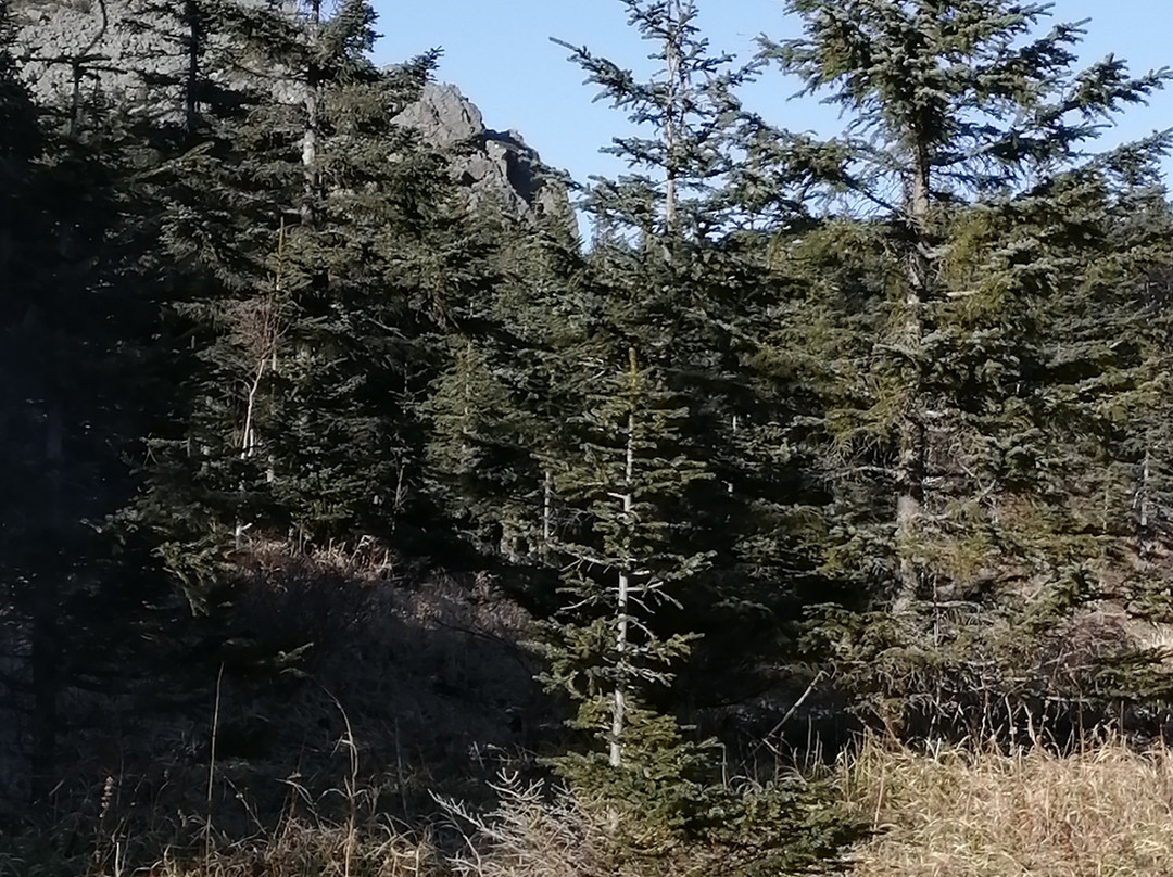 Mountain Olkhovaya-Nakhodka必去景点